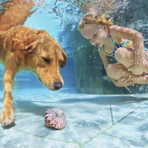 Kid-with-dog-playing-AES-Poolheating-300px